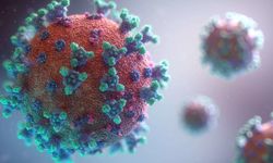 Yeni Koronavirüs Varyantı Uyarısı: Korkutan Açıklama