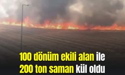 Şanlıurfa'da yangın! 100 dönüm arazi ile 200 ton saman kül oldu