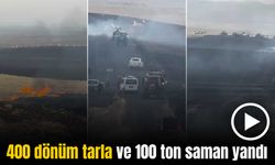 Diyarbakır’da çıkan yangında 400 dönüm arazi ve 100 ton saman yandı