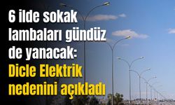 6 ilde sokak lambaları gündüz de yanacak: Dicle Elektrik nedenini açıkladı