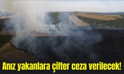 Anız yakanlara çifter ceza verilecek!