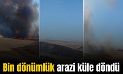 Diyarbakır’da bin dönüme yakın alan yandı