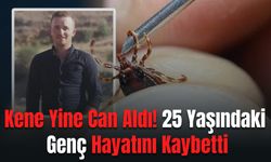 Kene Yine Can Aldı! 25 Yaşındaki Genç Hayatını Kaybetti