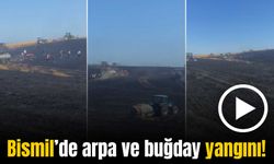 Bismil’de arpa ve buğday ekili tarlalar yandı!