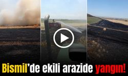 Bismil’de tarla yangını: 50 dönüm ekili alan yandı!