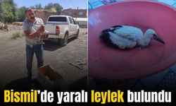 Bismil’de vatandaşın bulduğu yaralı leylek yavrusu tedavi altına alındı