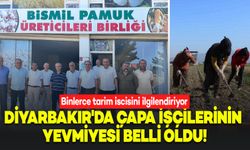 Diyarbakır Pamuk Çapalama İşçisinin Yevmiyesi Belli Oldu