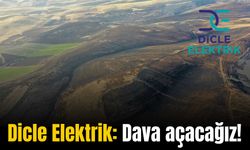 Dicle Elektrik’ten yeni açıklama: Dava açacağız!