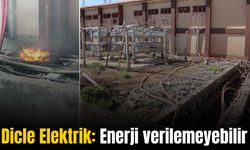 Dicle Elektrik: “Enerji verilemeyebilir, ona göre ürün ekin”