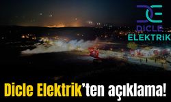 Dicle Elektrik’ten yangına ilişkin açıklama: Elektrik telleri mi neden oldu?