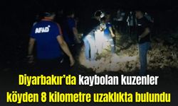 Diyarbakır’da kaybolan kuzenler köyden 8 kilometre uzaklıkta bulundu