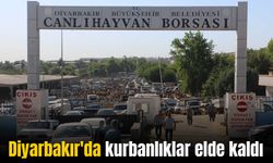 Diyarbakır'da kurbanlıklar elde kaldı: Fiyatlar yüksek bakan çok, alan yok