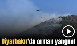 Diyarbakır'da orman yangınına havadan ve karadan müdahale