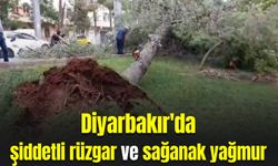 Diyarbakır'da şiddetli rüzgar ve sağanak yağmur etkili oldu