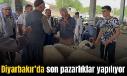 Diyarbakır Hayvan Pazarında kıyasıya pazarlıklar yaşanıyor