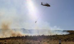 Çınar ilçesinde Karacadağ bölgesinde çıkan yangın kontrol altına alındı