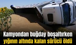 Kamyondan buğday boşaltırken buğday yığınının altında kalan sürücü öldü