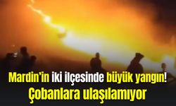 Mardin’in iki ilçesinde büyük yangın: Çobanlara ulaşılamıyor!