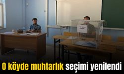 Diyarbakır’da 31 Mart'ta kavga nedeniyle iptal edilen muhtarlık seçimi tekrarlandı