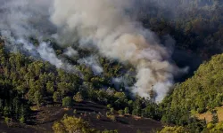 Bir İlde Daha Ormanlık Alanlara Giriş Yasağı Getirildi