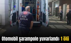 Şarampole uçan otomobilde 1 kişi öldü 1 kişi yaralandı