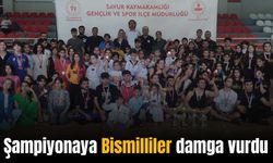 Savur’da Wushu Kung-fu İl Şampiyonası düzenlendi