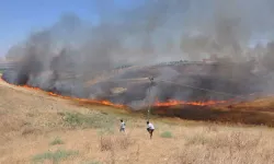 Şanlıurfa'da anız yaktıkları tespit edilen 6 kişi hakkında işlem