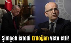 Erdoğan yeni vergi paketindeki birçok maddeyi veto etti: İşte taslaktan çıkarılan maddeler