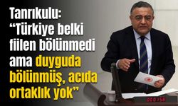 Tanrıkulu: “Türkiye belki fiilen bölünmedi ama duyguda bölünmüş, acıda ortaklık yok”