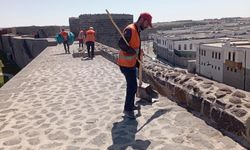 Tarihi Diyarbakır surlarında temizlik çalışması sürüyor