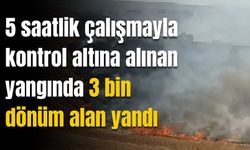 Diyarbakır Silvan’da anız yangını: 3 bin dönüm alan yandı