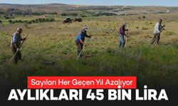 Aylıkları 45 Bin Lirayı Buluyor, Sayıları Her Geçen Yıl Azalıyor