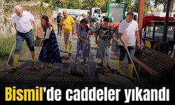 Bismil Belediye Eş Başkanları caddeleri yıkadı