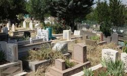 (Çınar) Beşpınar köyünden GAZAL İÇİER vefat etmiştir