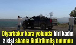 Diyarbakır kara yolunda biri kadın 2 kişi ölü bulundu