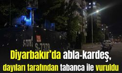 Diyarbakır’da abla kardeş, dayıları tarafından tabanca ile vuruldu