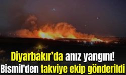 Diyarbakır’da anız yangını: Rüzgarın etkisiyle alevler geniş alana yayıldı