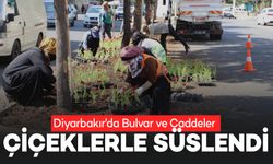 Diyarbakır'da Bulvar ve Caddeler Çiçeklerle Süslendi