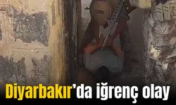 Diyarbakır Savcılığı harekete geçti: İğrenç olayda 14 tutuklama!
