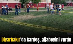 Diyarbakır’da abi ile kardeşin kavgası kanlı bitti