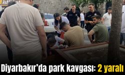 Diyarbakır’da ‘park yeri’ kavgasında 2 kişi bıçaklandı