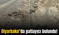 Diyarbakır’da yola tuzaklanmış 80 kilogram bomba bulundu!