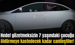 Diyarbakır’da 2 kişinin öldüğü silahlı saldırıdan yaralı kurtulan aile, barış için oradaymış