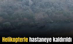 Dicle Nehrinde balık avlarken dinamiti elinde patlayan şahıs ağır yaralandı