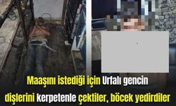 Maaşını istediği için Urfalı gencin dişlerini kerpetenle çektiler, böcek yedirdiler, elektrik verdiler...