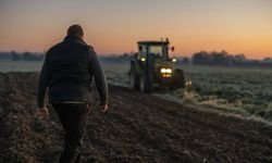 Destekleme Ödemeleri Çiftçilerin Hesaplarına Yatırıldı