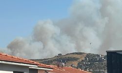 İzmir'de orman yangınları