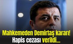 Mahkemeden Demirtaş kararı! Hapis cezası verildi