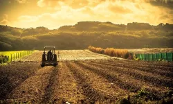 Tarımsal Destek Ödemeleri Hesaplara Yatırılıyor