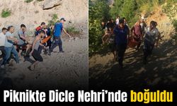 Babasıyla birlikte gittiği piknikte Dicle Nehri’nde boğuldu